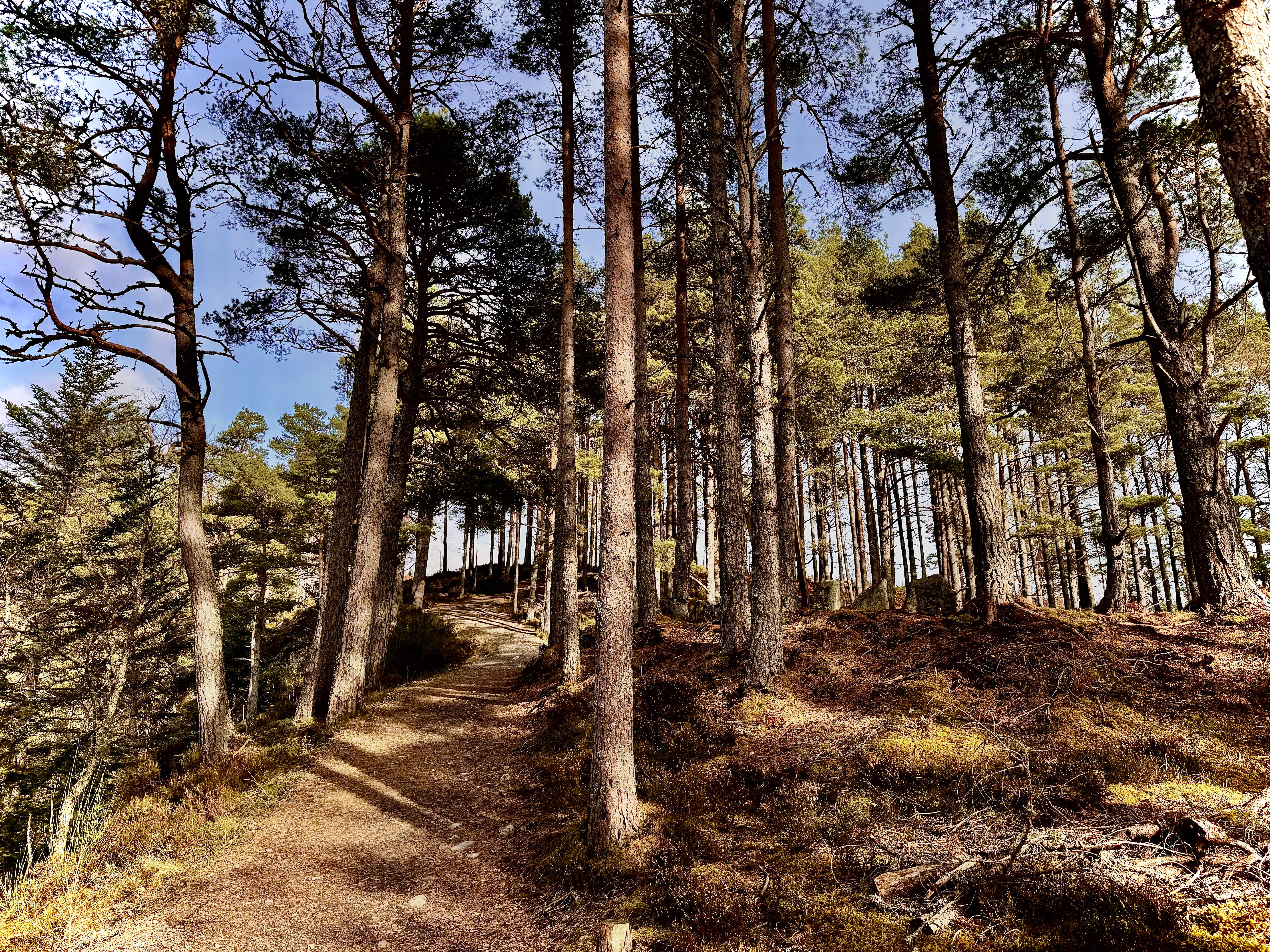 The Hermitage, Dunkeld